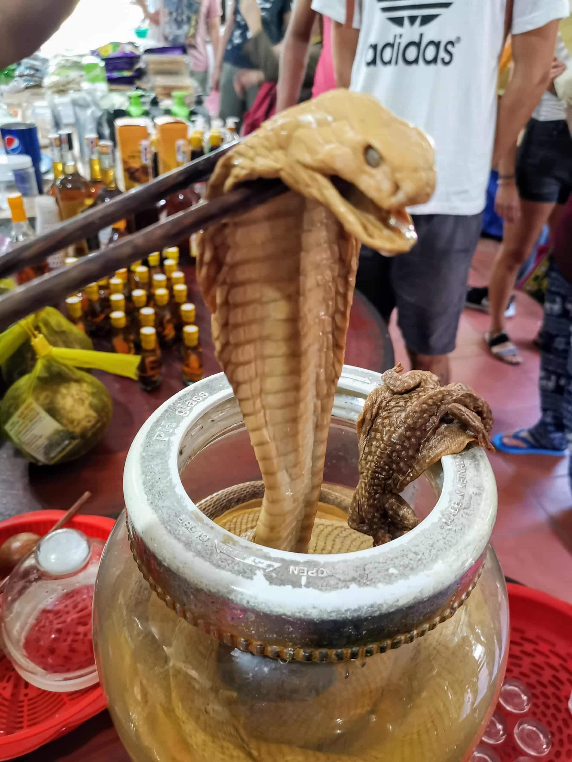 Jakie zwierze jest symbolem Chińskiego Nowego Roku? Rok 2025, jest rokiem węża.